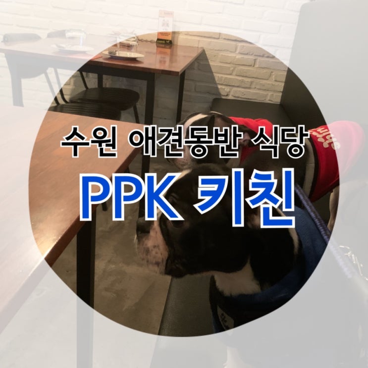  수원 인계동 애견동반 식당 "ppk키친"