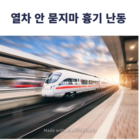  지난달 열차안 묻지마 흉기 난동을 벌인 특수상해 현의로 A씨 70대 구속