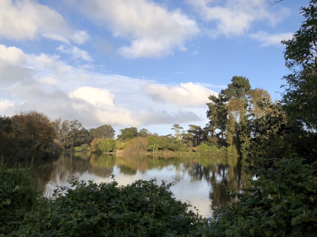  [나홀로 미국여행] 엘에이와는 또다른 느낌의 도시, 샌프란시스코(San Francisco)