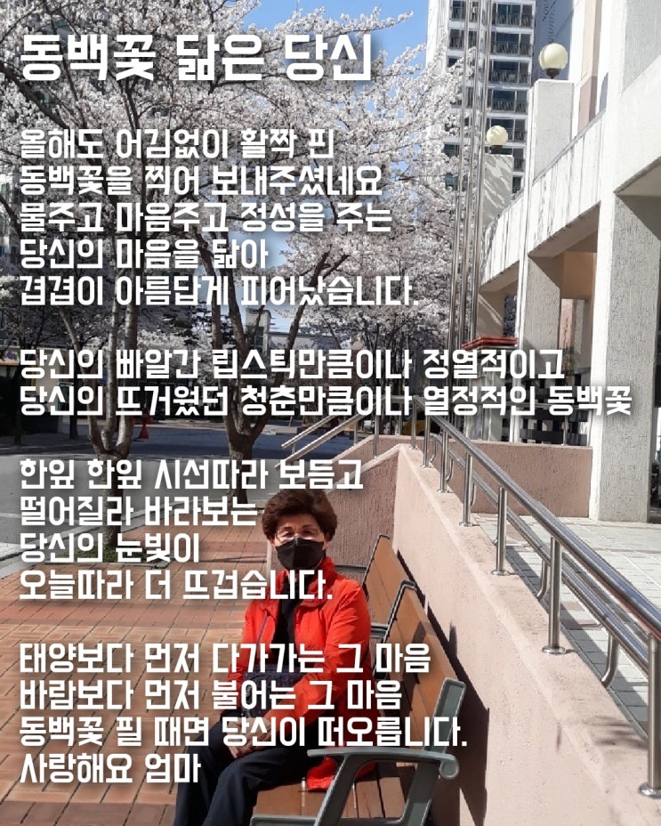  당신은 늘 보고 싶은 사람입니다