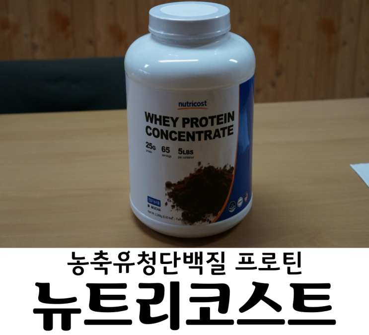 WPC 단백질보충제 뉴트리코스트 프로틴 (모카맛) 가성비 갑