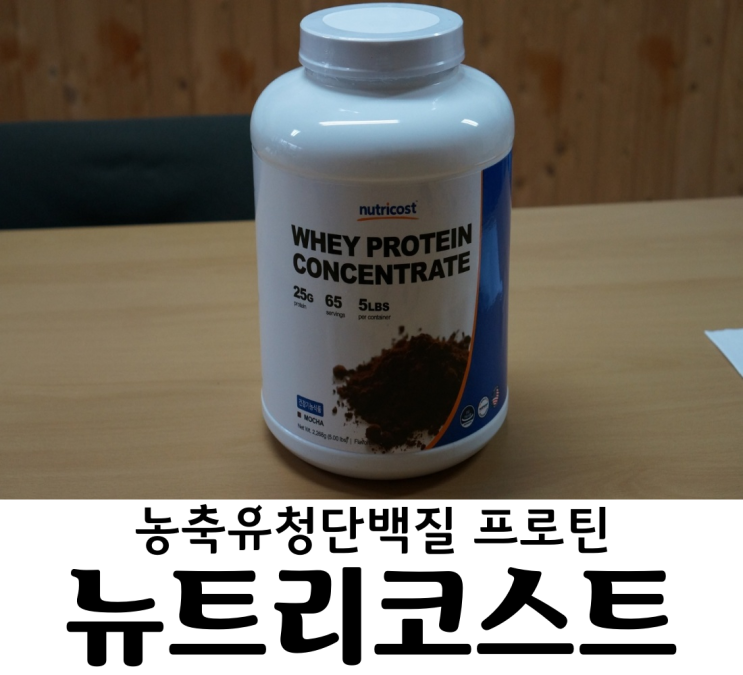  WPC 단백질보충제 뉴트리코스트 프로틴 (모카맛) 가성비 갑