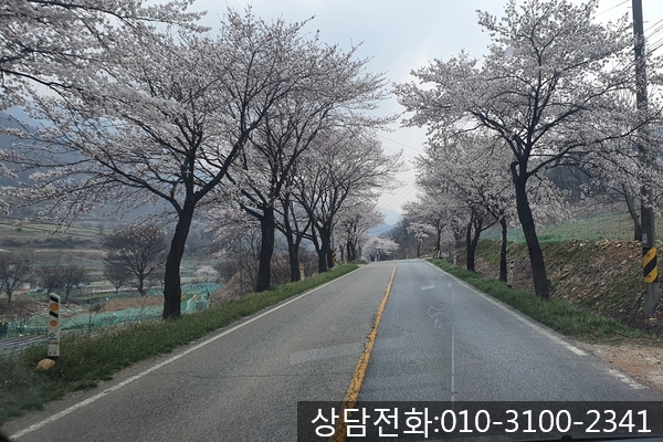 제천 월악산 국립공원 앞 단독주택 지중 누수-아담 누수