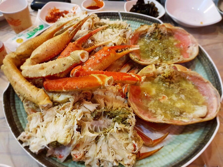 [강릉 속초] 가성비 좋은 속초해수욕장 횟집, 속초시장 킹크랩 맛집 :: 회밀리가떳다 & 총각네 대게
