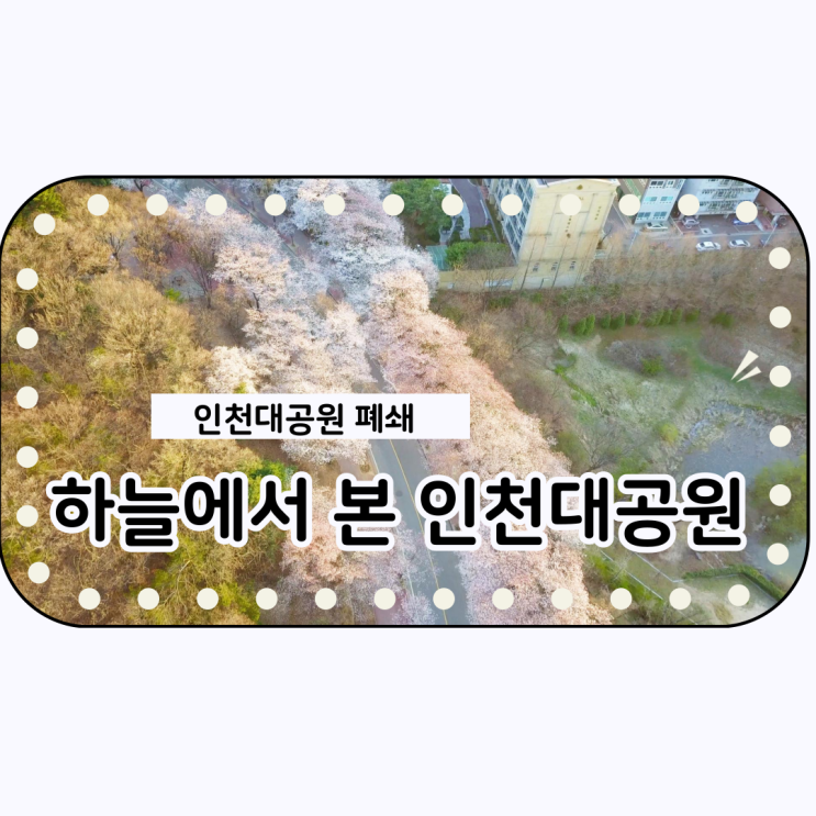  인천대공원 폐쇄! 하늘에서 벚꽃구경하다! <feat.매빅프로>
