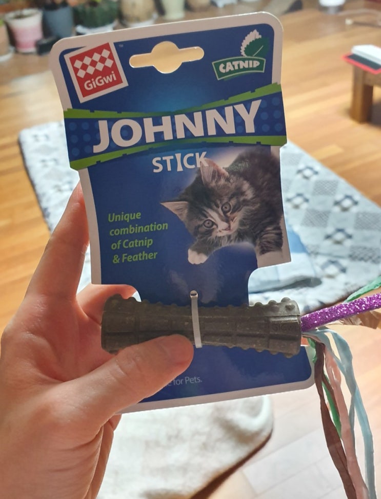  GiGiwi 캣닢 조니스틱 (CATNIP JOHNNY STICK)사용 후기 : 고양이 캣닢 장난감