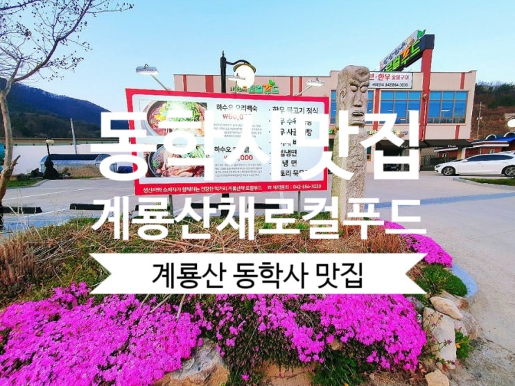  <동학사맛집>계룡산채로컬푸드에서 밥먹고~동학사벚꽃 드라이브스루까지