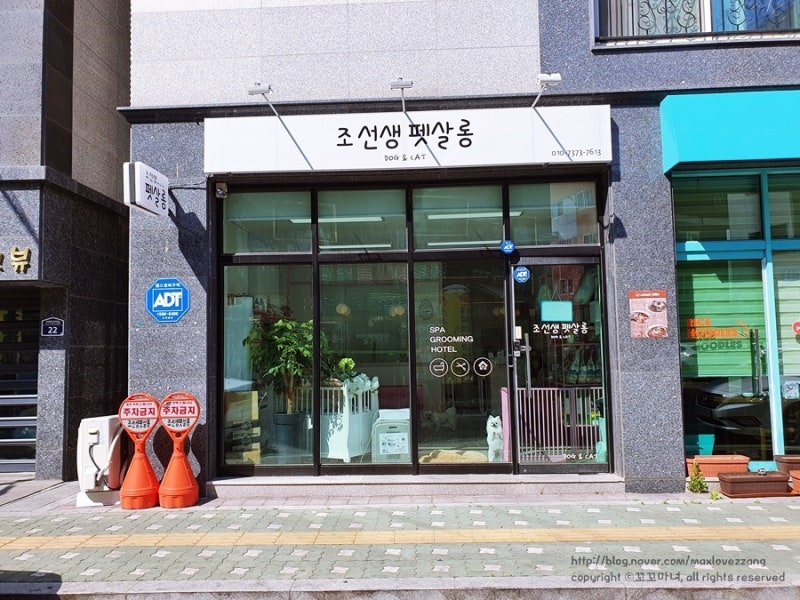 사진 4