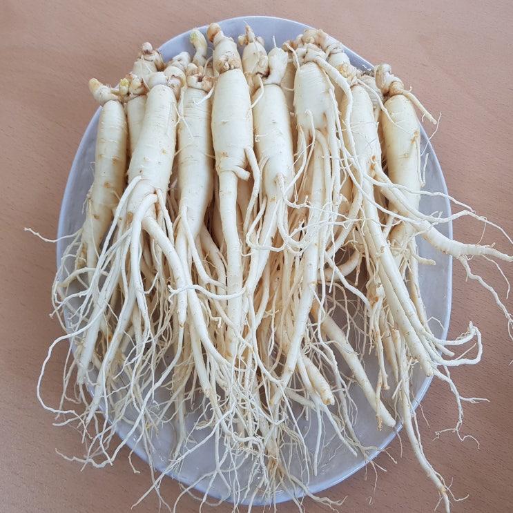 금산인삼 세척수삼 작은난발삼 500g 1kg 수삼, 1팩, 금산인삼 작은난발삼 500g 추천해요 금산인삼 세척수삼 작은난발삼 500g 1kg 수삼, 1팩, 금산인삼 작은난발삼 500g 추천해요
