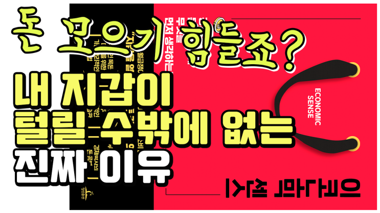  돈을 모으지 못하는 진짜 이유. 지갑을 열게 만드는 기업들의 전략. 재테크 추천도서, 경제책 추천 - 이코노믹 센스
