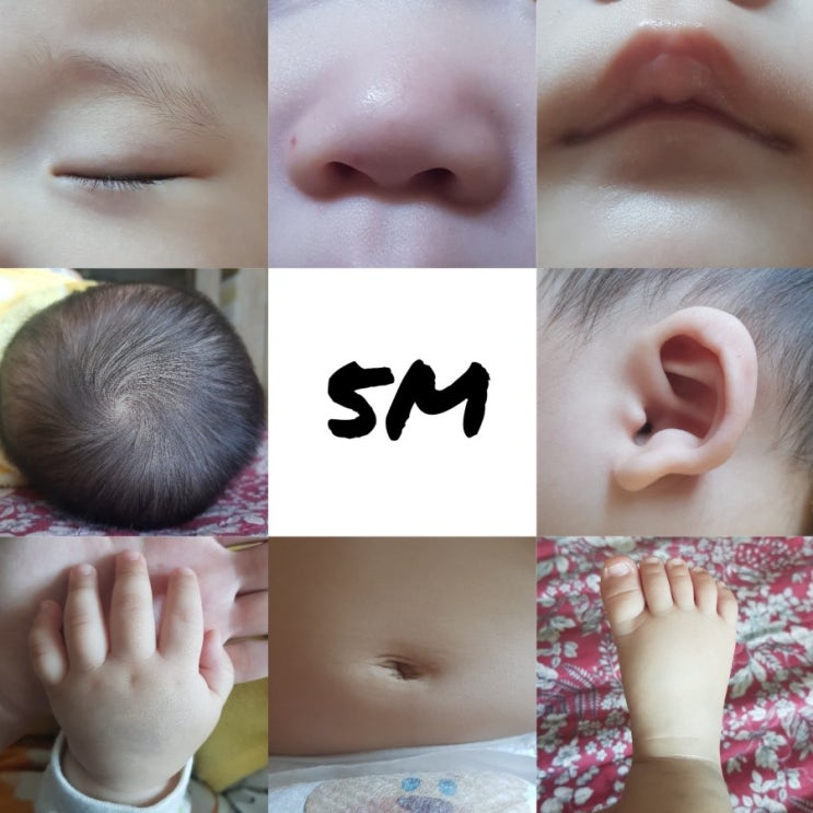  육아일기 : 생후 5개월 하랑이 첫 배밀이와 잡고서기