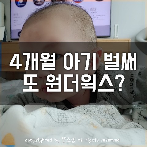 4개월 아기 육아일기  4개월 아기, 6개월 원더윅스?