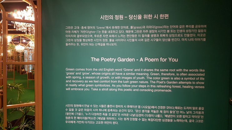 뮤지엄오브컬러 전시회 후기 뮤지엄오브컬러 전시회 후기