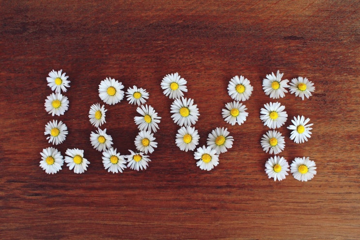  오늘은 2020년 4월 6일(음력 경자년 3월 14일) 월요일