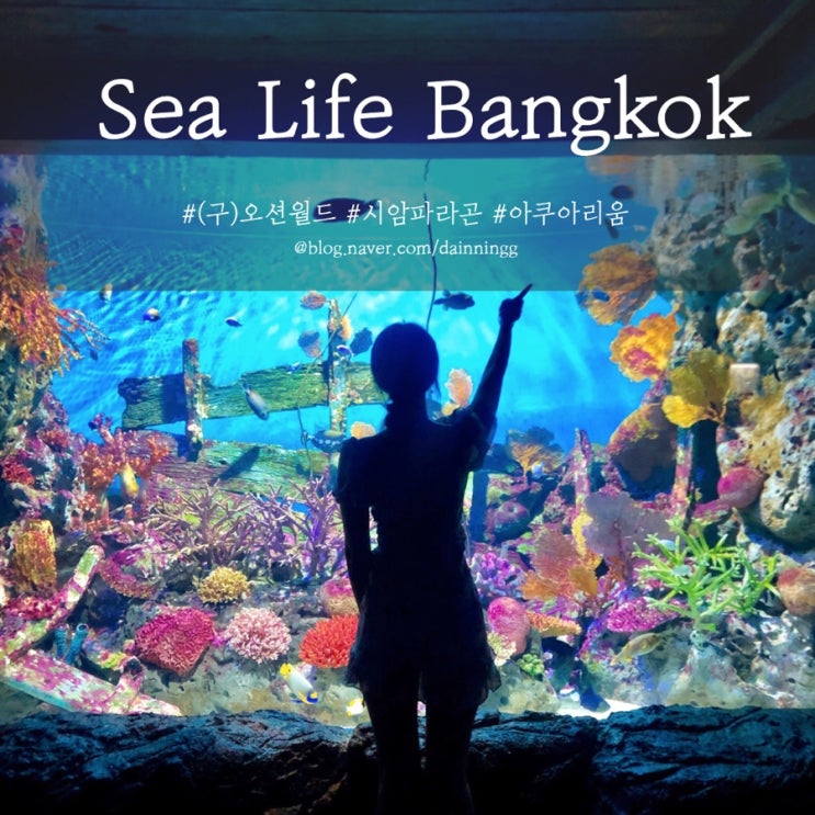  태국 방콕 | 씨암 파라곤 아쿠아리움 ‘씨라이프 방콕(Sea life Bangkok),오션월드’ 위치, 가는 법, 예약 및 바우처