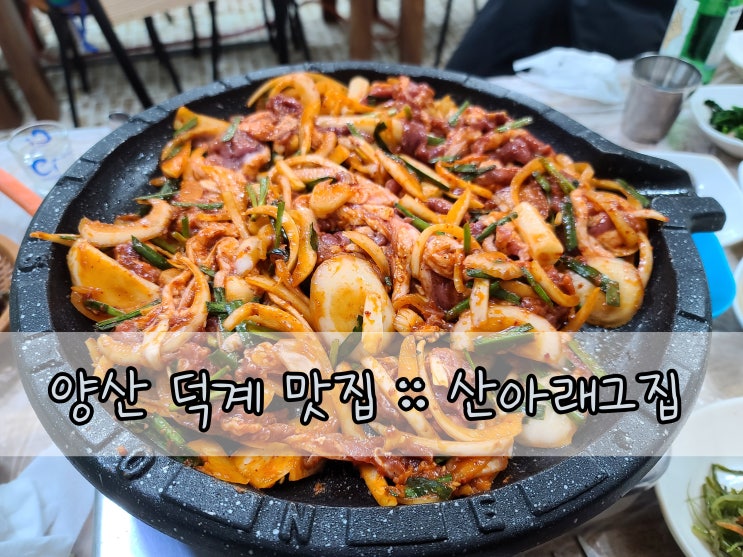  양산 덕계 맛집 :: 생오리고기 맛집 산아래그집
