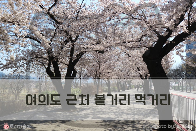 호텔더디자이너스 여의도 근처 볼거리 먹을거리 호텔더디자이너스 여의도 근처 볼거리 먹을거리