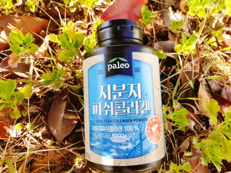  먹는콜라겐으로 젊어지자; 저분자피쉬콜라겐  팔레오