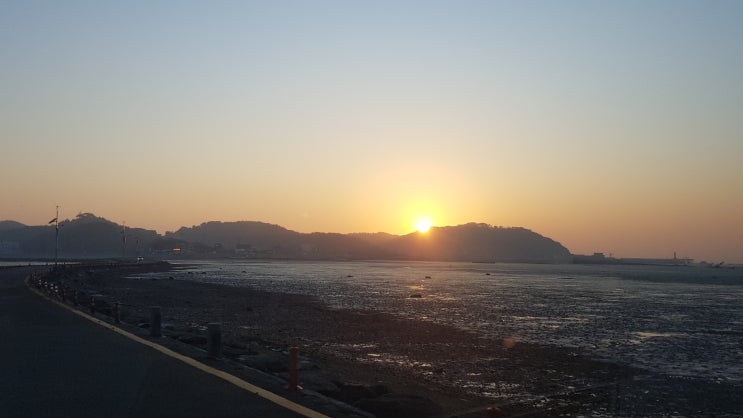  애널리스트 뺨칠만한 투자문자