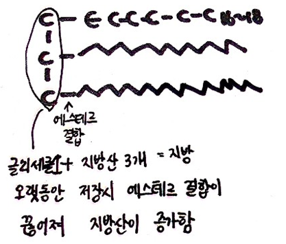  [식용작물학 요약] 벼의 수확후 관리(건조,저장,도정,유통,노동력과 생산비)