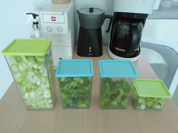  우리집 대파보관법 & 양파보관법
