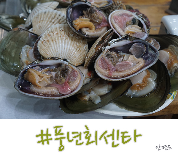  안면도 조개구이 완전 인정 풍년회센타!