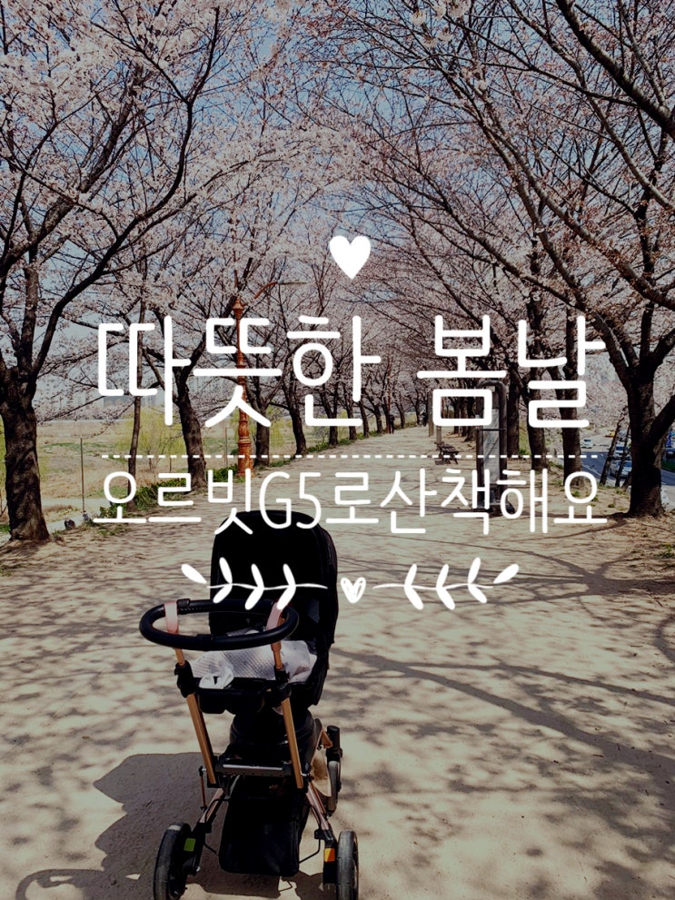  따스한 봄날 일상이 그리운 요즘 / 오르빗G5 집앞 산책