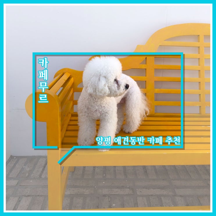 양평 애견동반 카페 추천 - 카페 무르 양평 애견동반 카페 추천 - 카페 무르