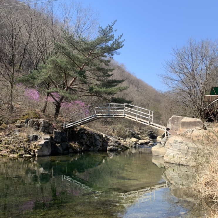  [내돈후기]바베큐 제격인 가평 포시즌밸리 펜션 (애견동반가능)