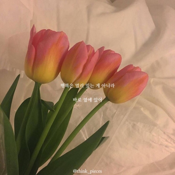  행복은 바로 옆에
