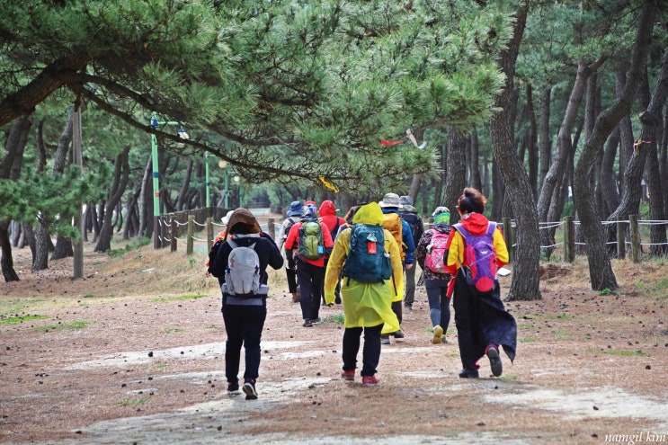 강릉 걷기좋은 길, 바우길5구간 바다호수길 걷기 강릉 걷기좋은 길, 바우길5구간 바다호수길 걷기