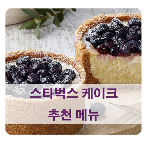  [스타벅스 케이크 추천] 종류 & 칼로리 얼마일까