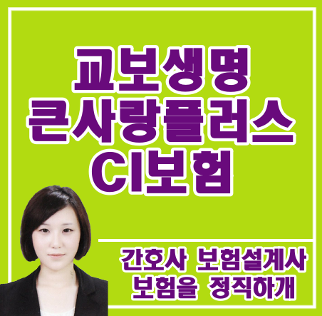  교보 큰사랑플러스 ci 보험 ㅜㅜ 리모델링 도와주세요