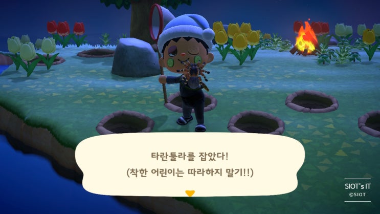 동물의 숲 타란튤라 섬에서 거미 잡는법 동물의 숲 타란튤라 섬에서 거미 잡는법
