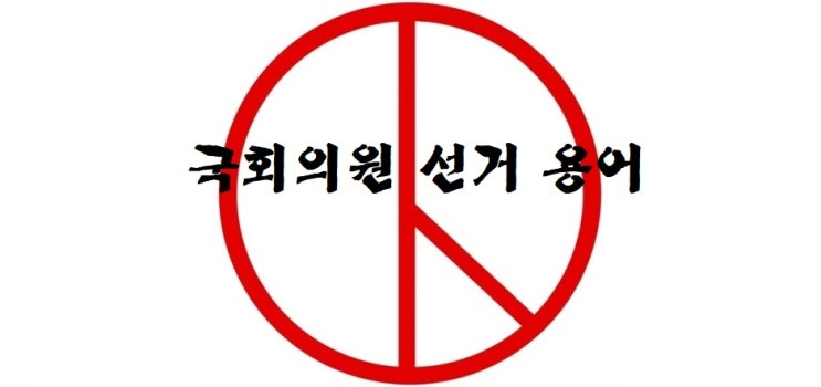  제21대 국회의원 선거 및 선거 용어