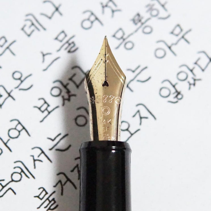  제목없는 회고록 (플래티넘 센츄리 블랙 sf닙)
