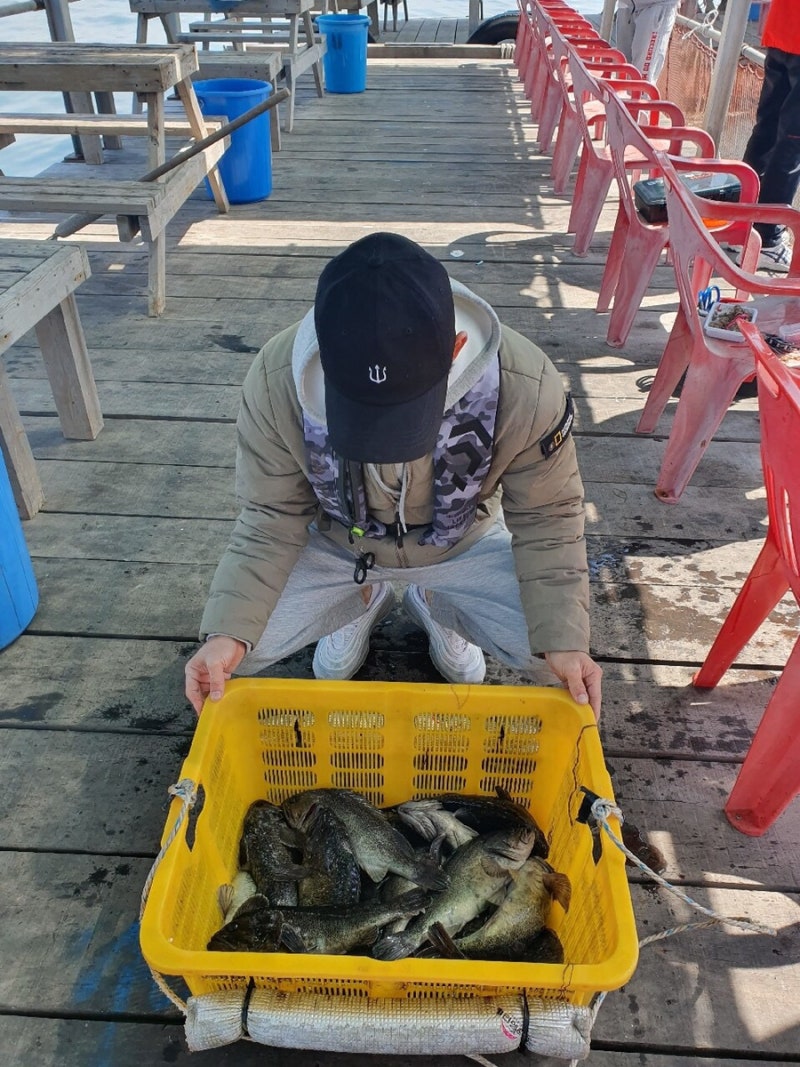 삼길포: 바다낚시 백년좌대 낚시터