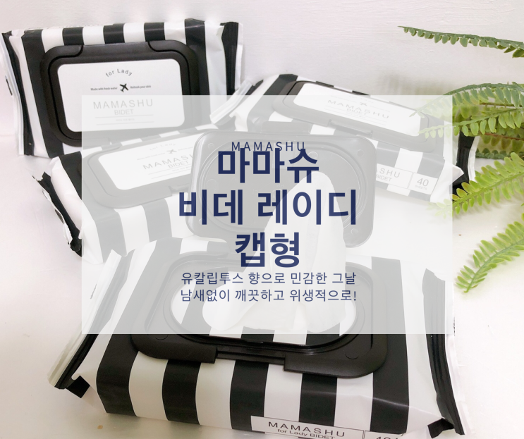  물에녹는 비데물티슈 마마슈 어디서든 간편하게~