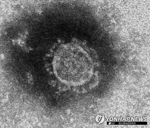  일본 코로나19 확진 235명 늘어 4천804명…오늘 긴급사태 선언