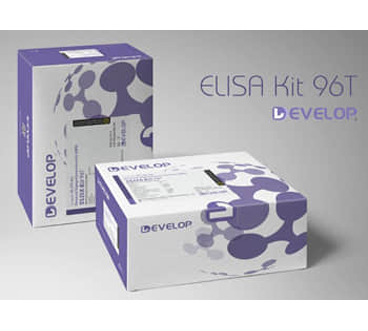 DLdevelop ready-to-use ELISA kit (DLR-IGFBP5-Ra~DLR-SDC4-Hu)
