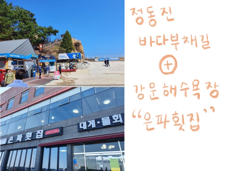   [강원도] 정동심곡바다부채길+은파횟집