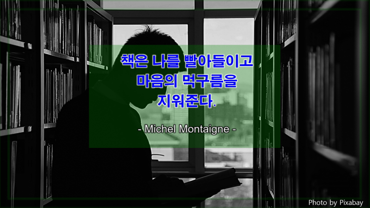  [지식과 생각을 얻는 명언] 책은 마음의 먹구름을 지워준다.