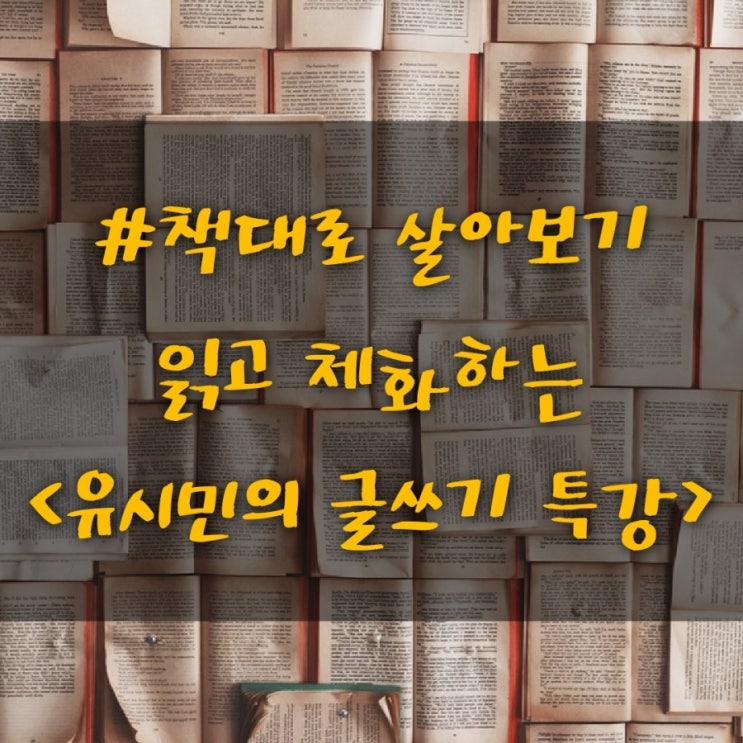  글쓰기고민/유시민의 글쓰기 특강