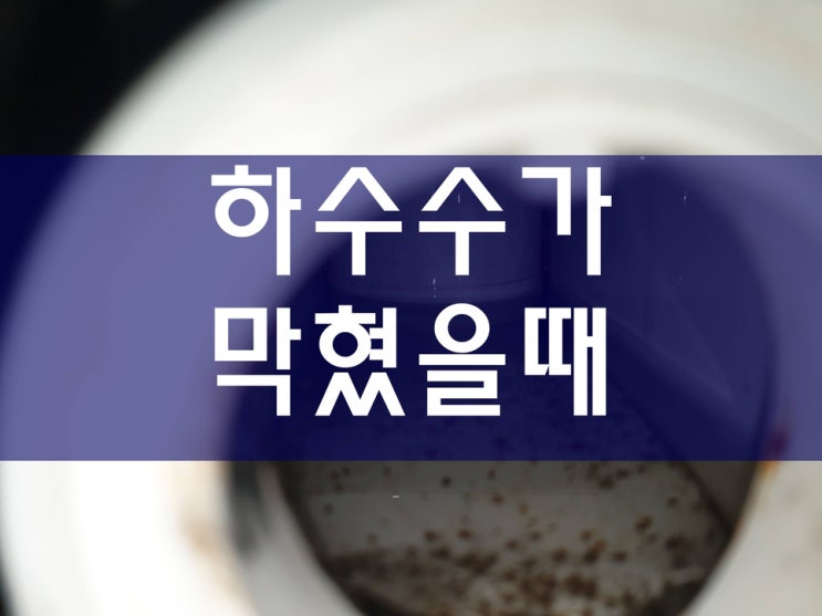  수원하수구막힘 증상과 하수구막혔을때 조치할 수 있는 방법