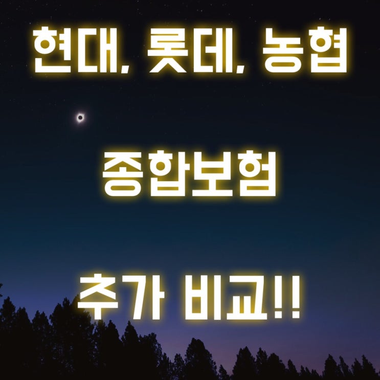  롯데손보, 농협손보 + 현대해상 종합보험 추가 비교!!