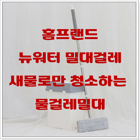  뉴워터 밀대걸레 물걸레 청소의 새로운 혁명, 구매하다