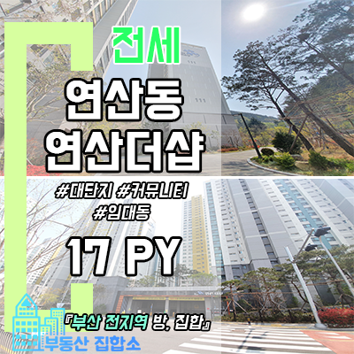 연제구 아파트 전세는 연산더샵 임대동 쓰리룸으로 연제구 아파트 전세는 연산더샵 임대동 쓰리룸으로