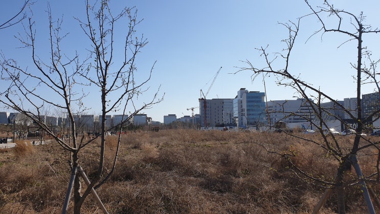  손떨림 원인과 치료