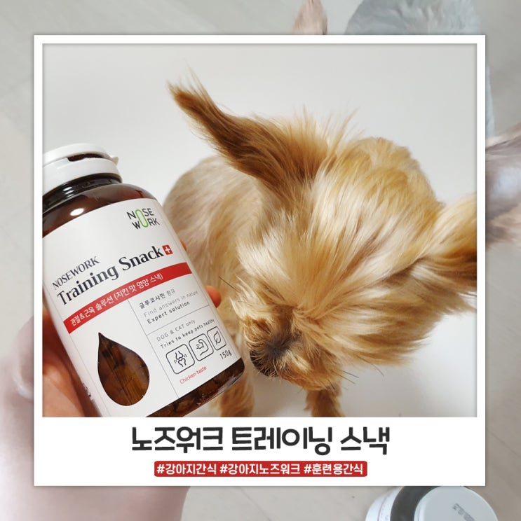강아지노즈워크 트레이닝스낵 훈련용 강아지간식으로 좋아요 강아지노즈워크 트레이닝스낵 훈련용 강아지간식으로 좋아요