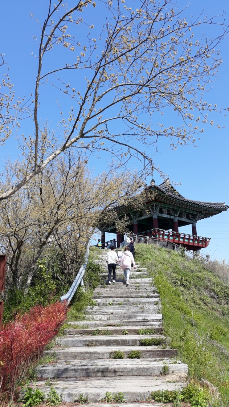  완주 삼례 비비정